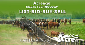cattle farm auctions