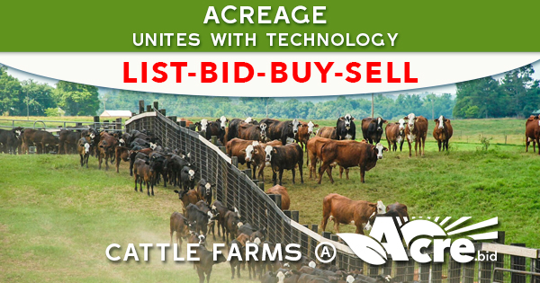 cattle farm auctioneers 