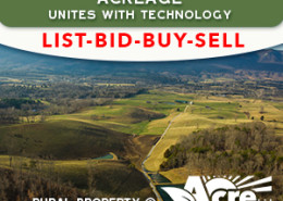 beef cattle farm auctions