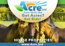 horse farm auctions