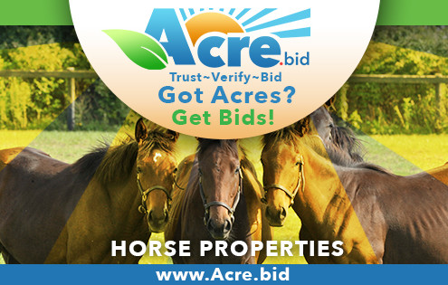 horse farm auctions