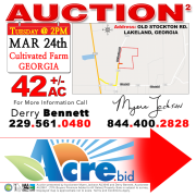 real estate auction  signs