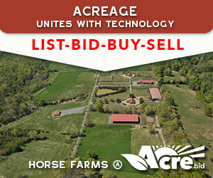 florida horse farm auctioneers