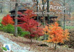 Kentucky-real-estate-auctions