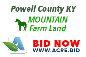 Kentucky Auctioneer announce Online Land Auctions 