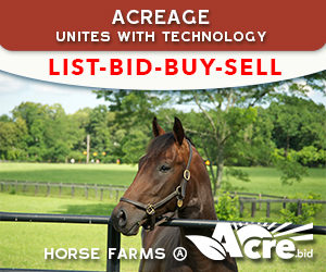 Wisconsin Acreage Auctioneers 