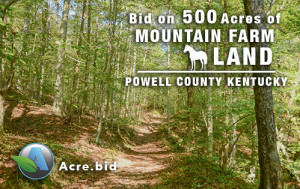 timberland acreage for sale 