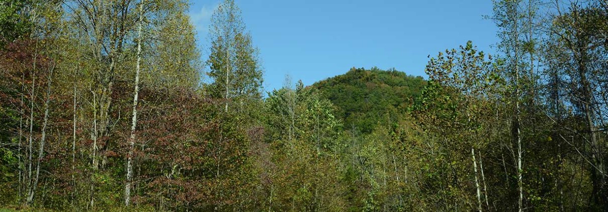 kentucky land for sale