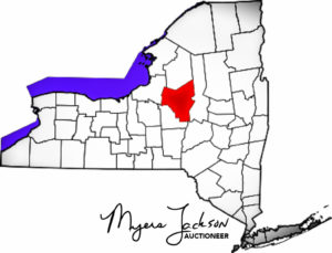 New York State county map 