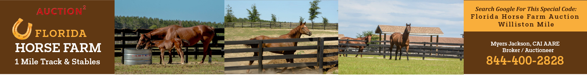 new york horse farm auctions