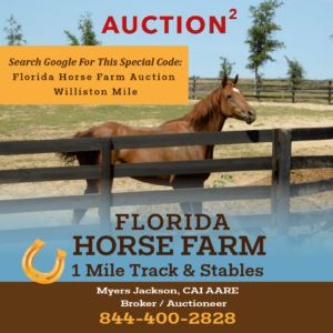 florida horse acreage 